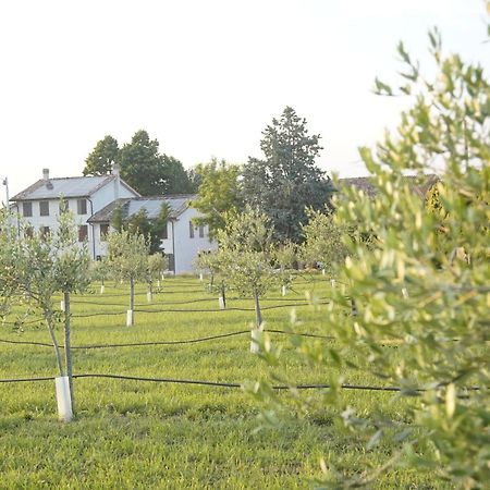 דירות Vigolzone Casa Di Alba - Alloggi Turistici מראה חיצוני תמונה